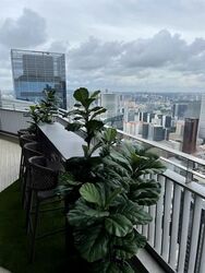 V On Shenton (D1), Apartment #477805671